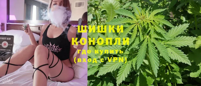 mega как зайти  Новосиль  Шишки марихуана OG Kush 